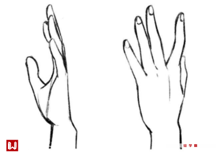 动漫人物的手指动作怎么画?动漫人物画法!__凤凰网