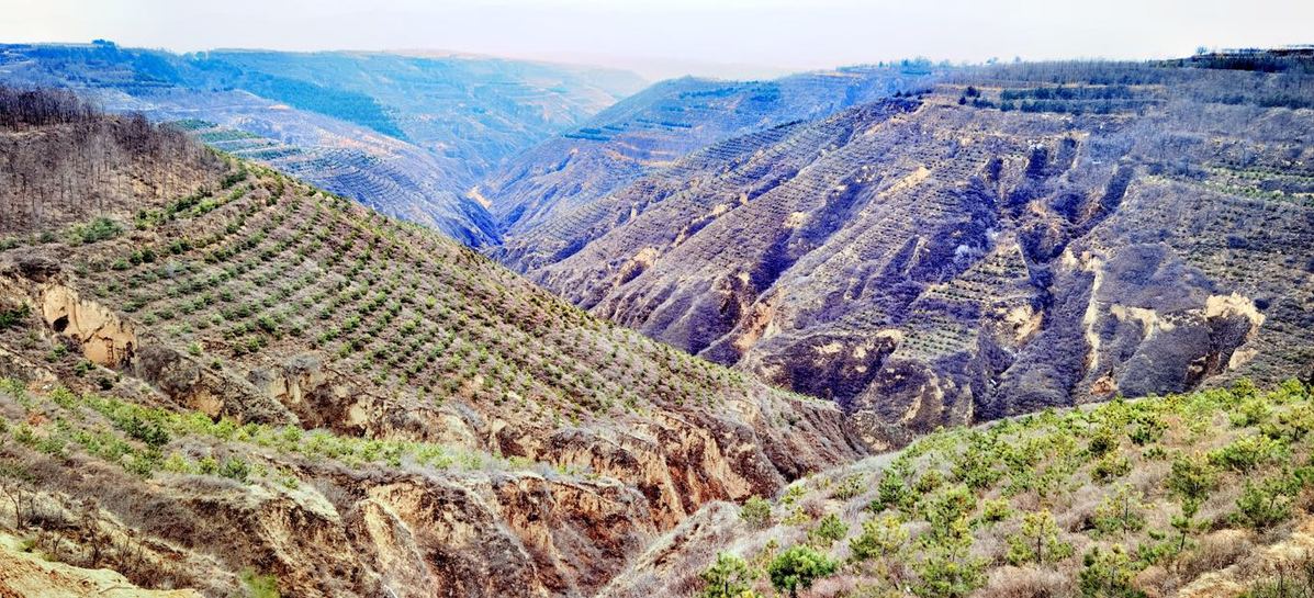 陕西延安:退耕还林二十余年 荒山"披绿衣"乡村"换新颜"