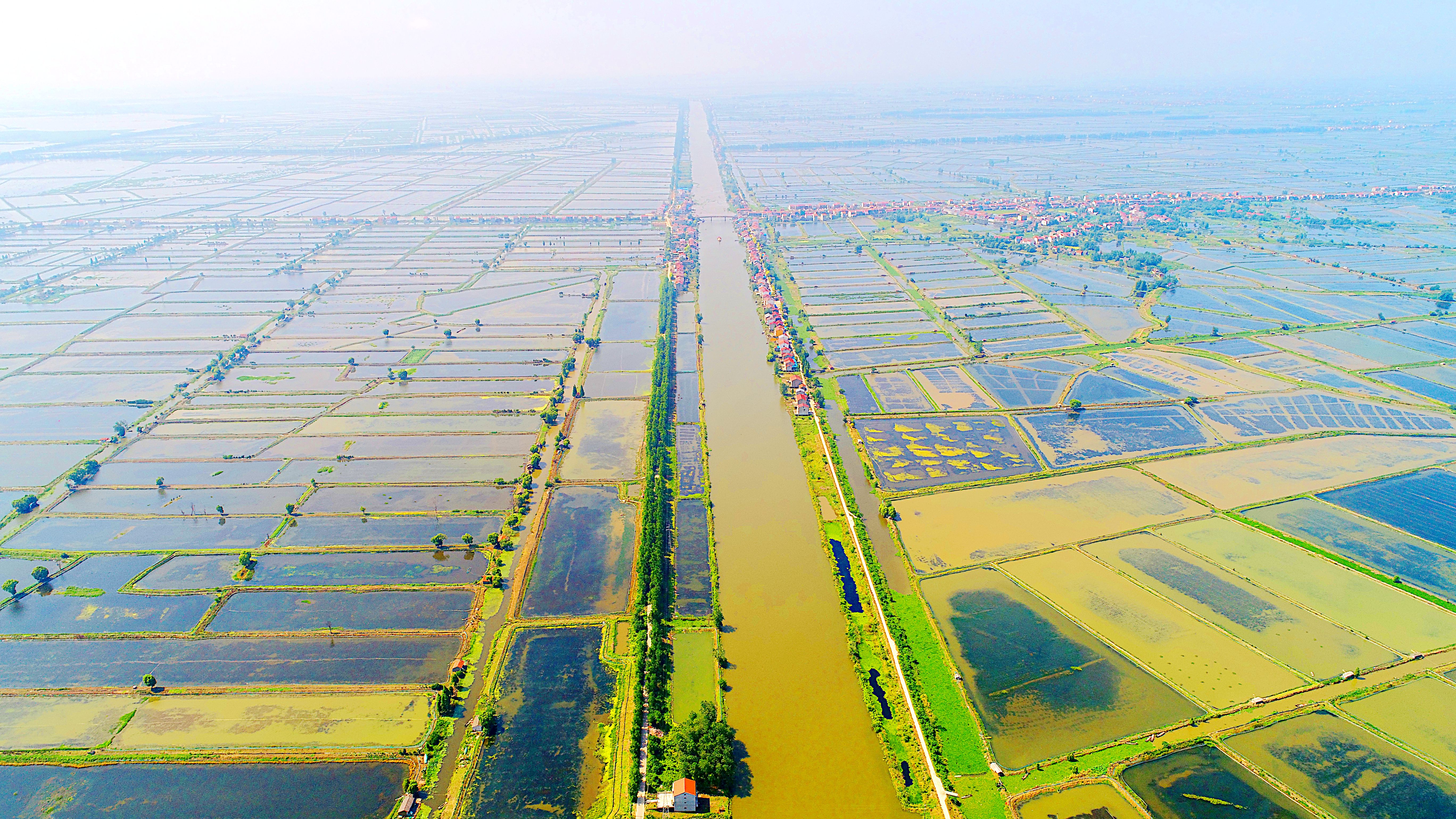 湖北监利 | 完善产业链,做好小龙虾"大文章"__凤凰网