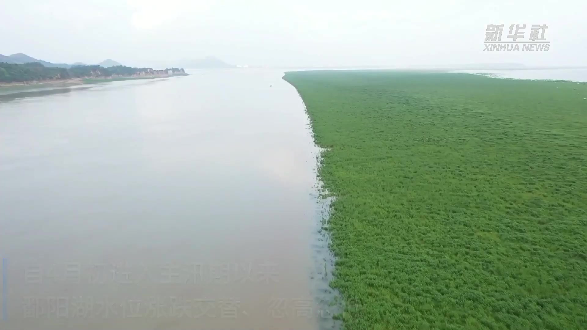 鄱阳湖：水草丰美 湿地生态画卷徐徐展开