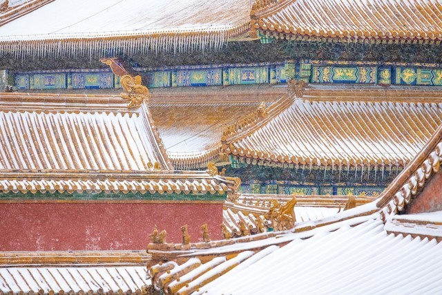 亲民远摄镜头 佳能RF100-400mm IS USM评测