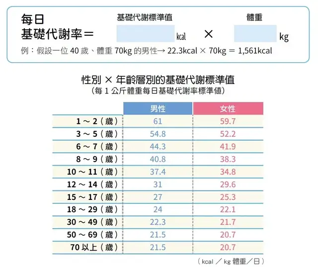 人体基础代谢率图片