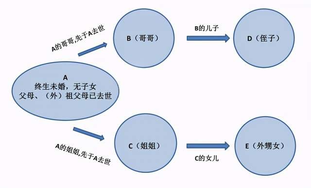 法定继承人分配比例图图片