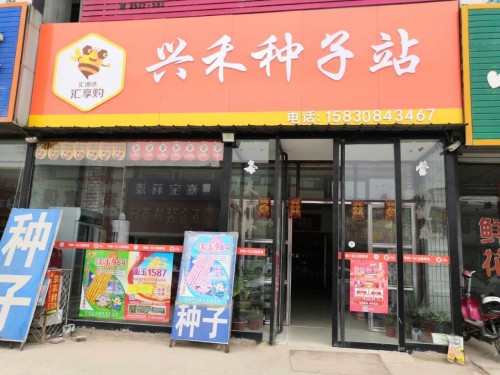 种子零售