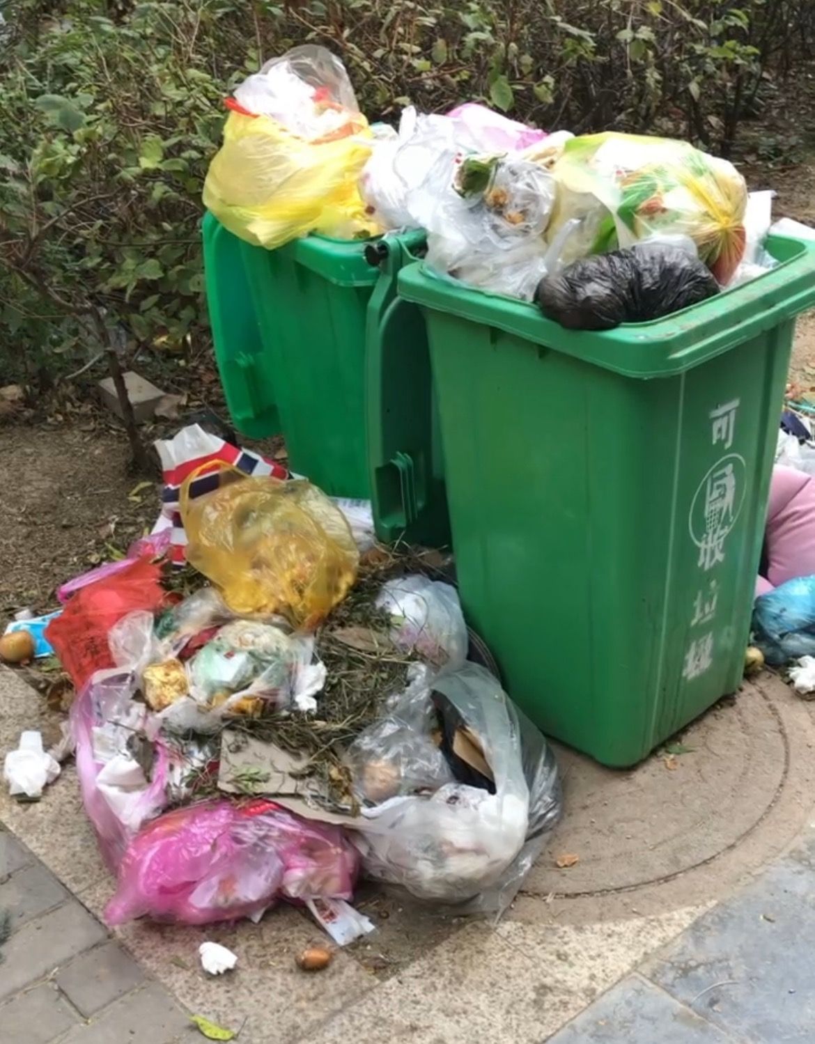 业主提供的图片及视频显示2019年至2020年间小区内垃圾桶堆满垃圾