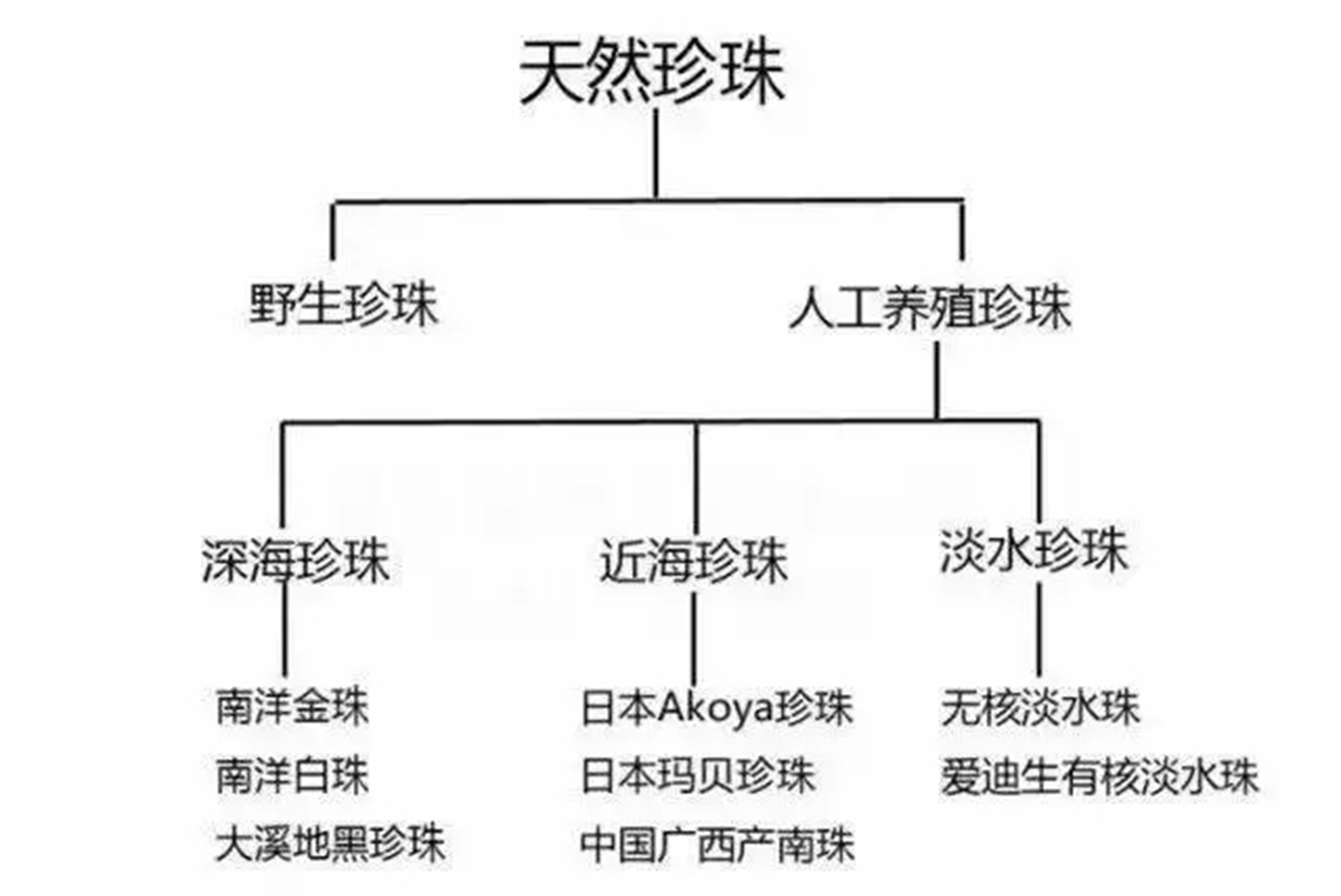 天然珍珠与人工养殖的区别