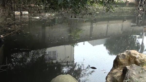 黑臭水体治理一填了之，生态环境部点名广西崇左