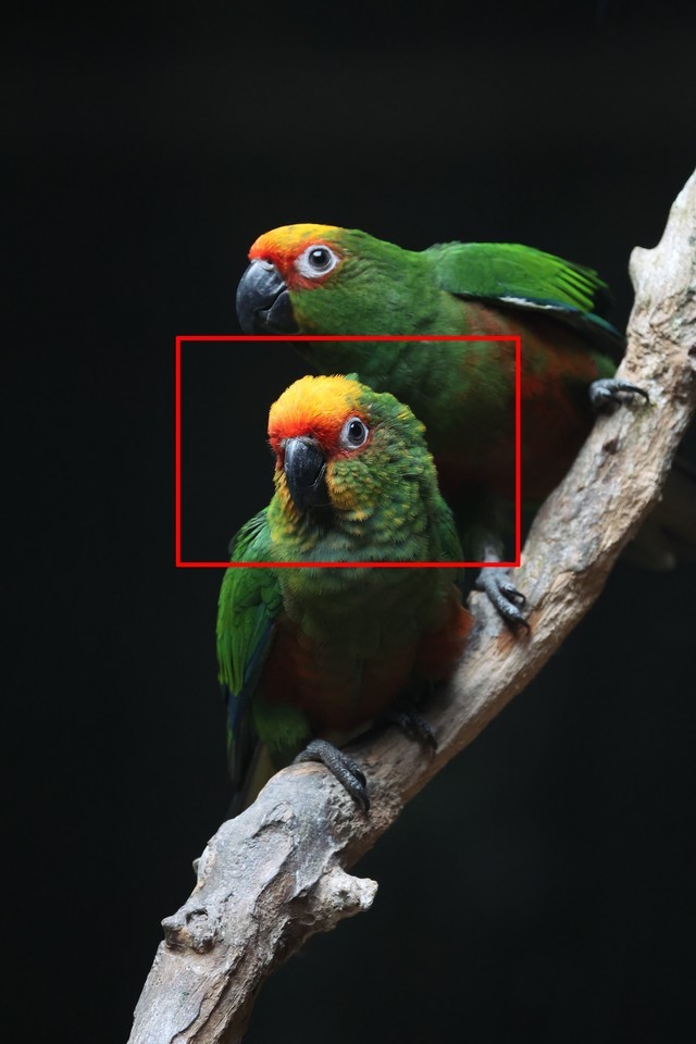 【有料评测】速度 精度 灵敏度 佳能EOS R3相机评测