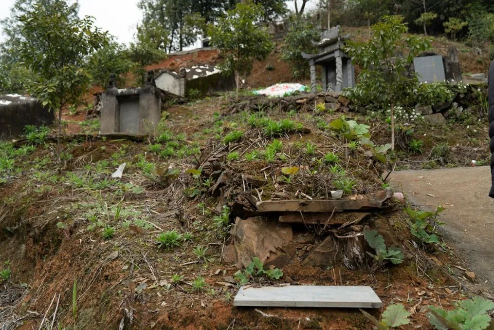 真正的杨根奎,早在1982年就在开化的小山村里寂静地离开了人世.