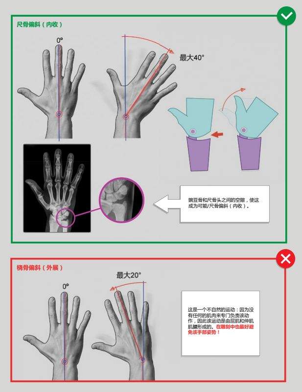 内收外展示意图图片