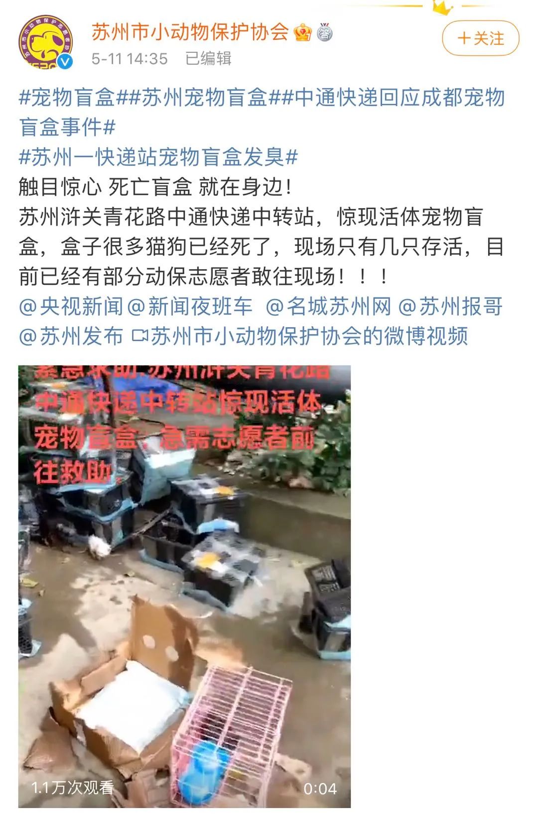 又是中通！快递站发现宠物盲盒快件13件，动物已死亡