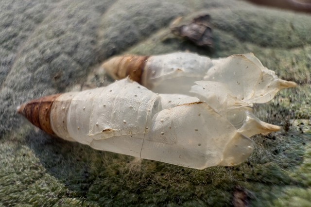 摄影师Austin Mann分享iPhone 13 Pro样片