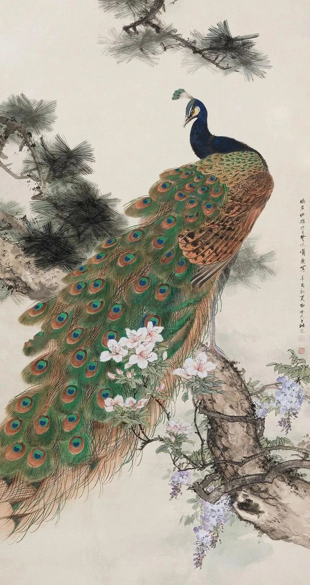 飞凤玉凰下凡来:五大名家画孔雀_凤凰网