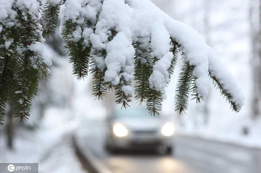 当地时间2021年11月27日,德国萨克森-安哈尔特,汽车驶过哈尔茨山区积雪覆盖的树干。在未来的几天里,雪线还会继续下降,低地地区也将下雪。