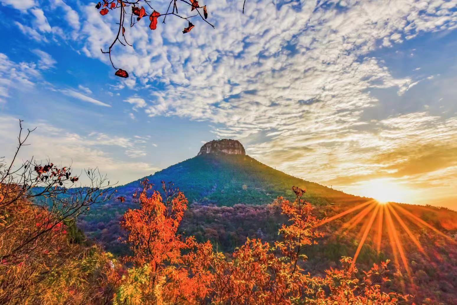 在山亭 揭开长寿之乡的秘密__凤凰网