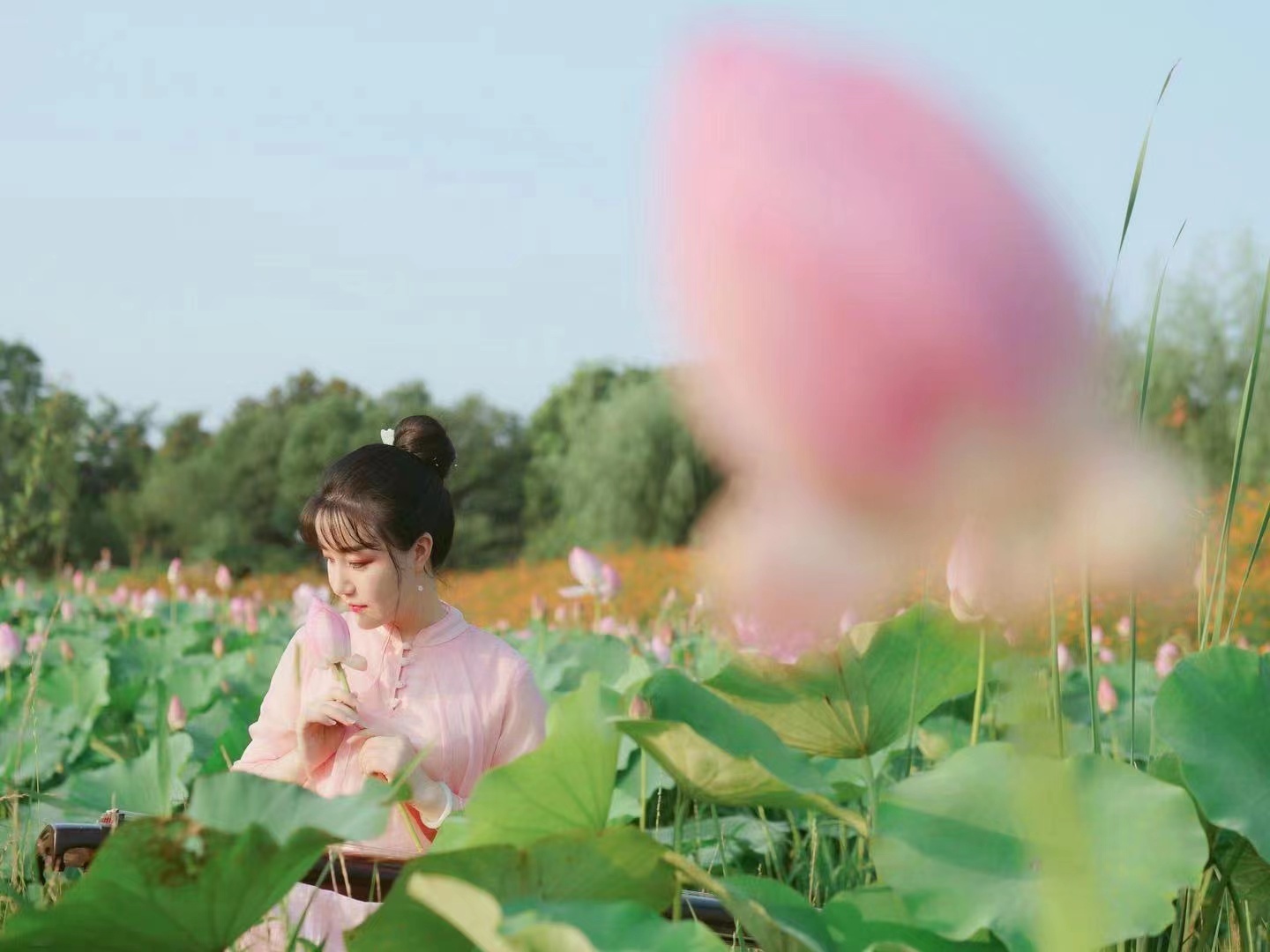 像莲花一样的女子 古琴演奏家邵芸菲