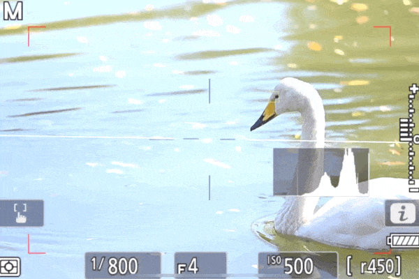 尼康Z9旗舰微单相机 诠释速度与激情