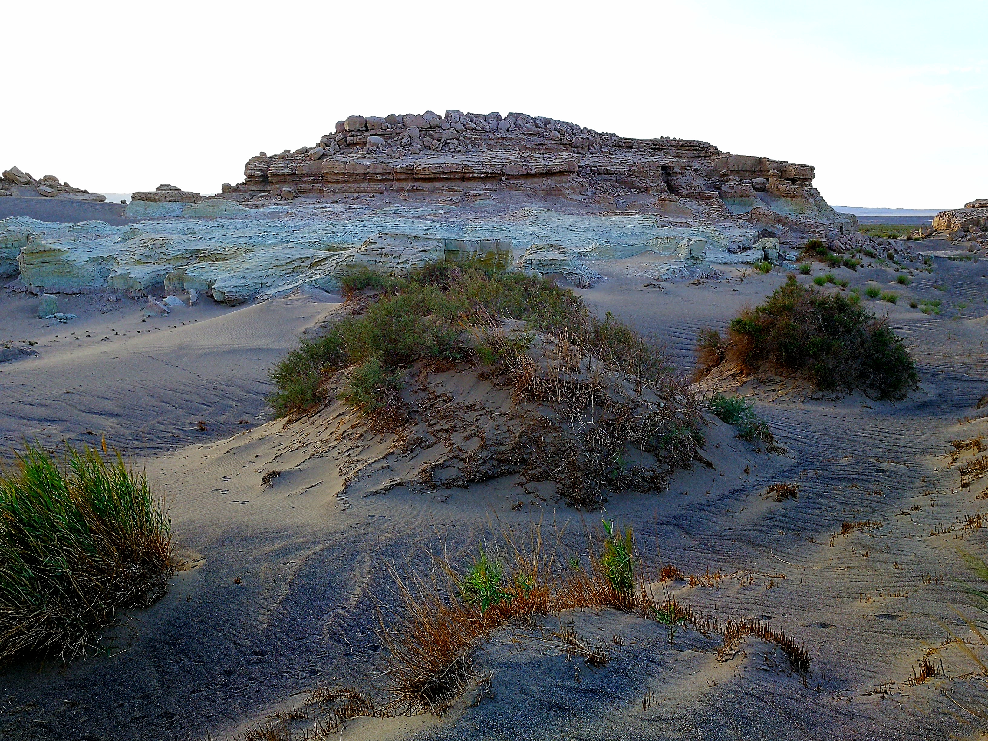 罗布泊到底长没长腿儿?即使有了定论,人们也不愿相信__凤凰网