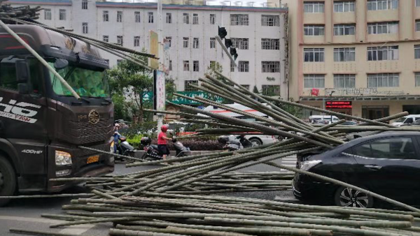 轿车疑遇追尾遭成排竹子击穿，后座孩童头部受伤