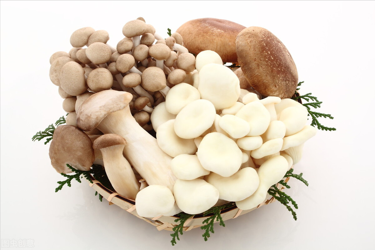 清炒白蘑菇怎么做_清炒白蘑菇的做法_豆果美食