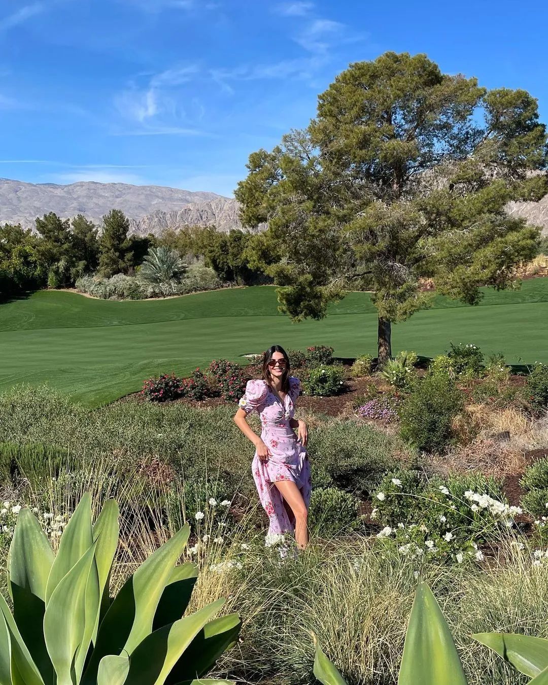 那些被污名化的网红照