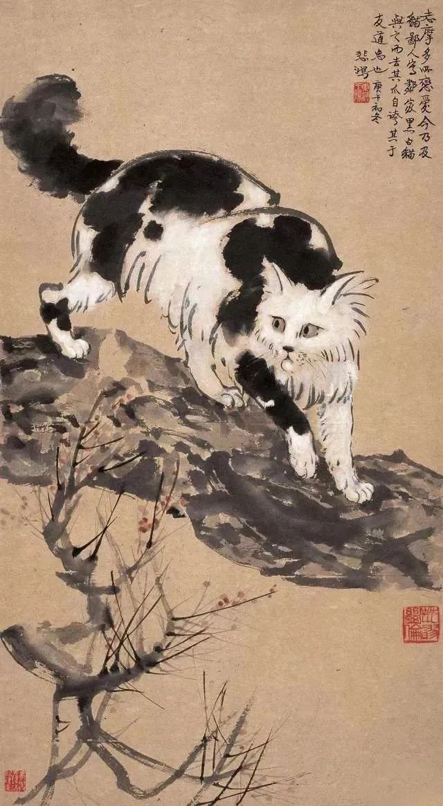 徐悲鸿画猫调侃徐志摩_凤凰网
