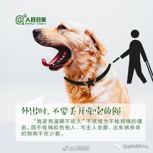 小区禁止养狗,还要求主人十日内自行将狗捕杀!好大的官威呀__凤凰网