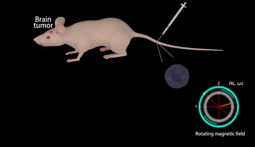哈工大团队详解微纳机器人如何首次主动靶向脑胶质瘤