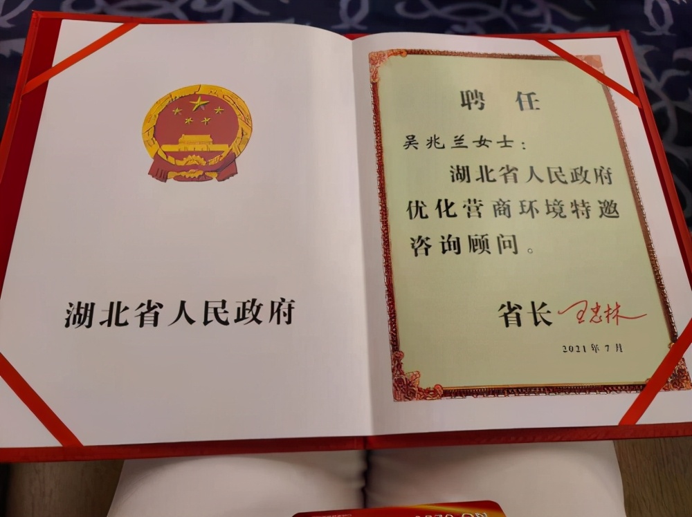 苏宁环球集团总裁吴兆兰获聘湖北省人民政府优化营商环境特邀咨询顾问