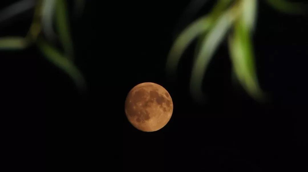 满满干货（中秋节的诗歌有哪些）中秋节最佳10首古诗李白 第1张