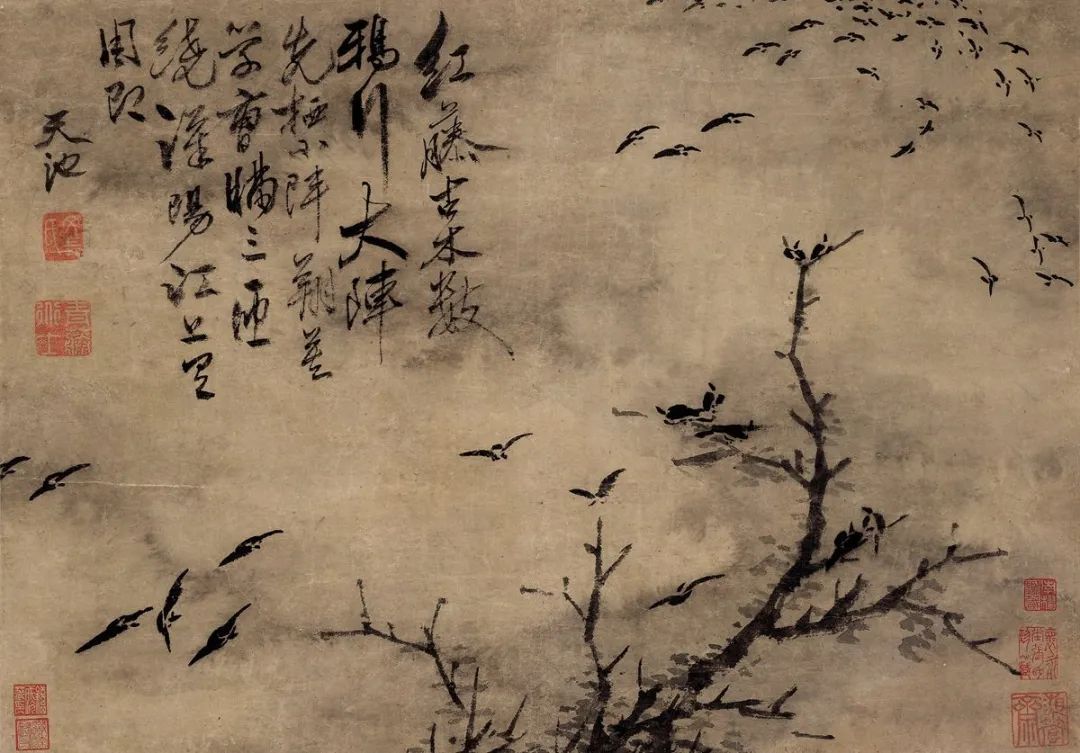 徐渭的诗情画意,别有天地非人间!