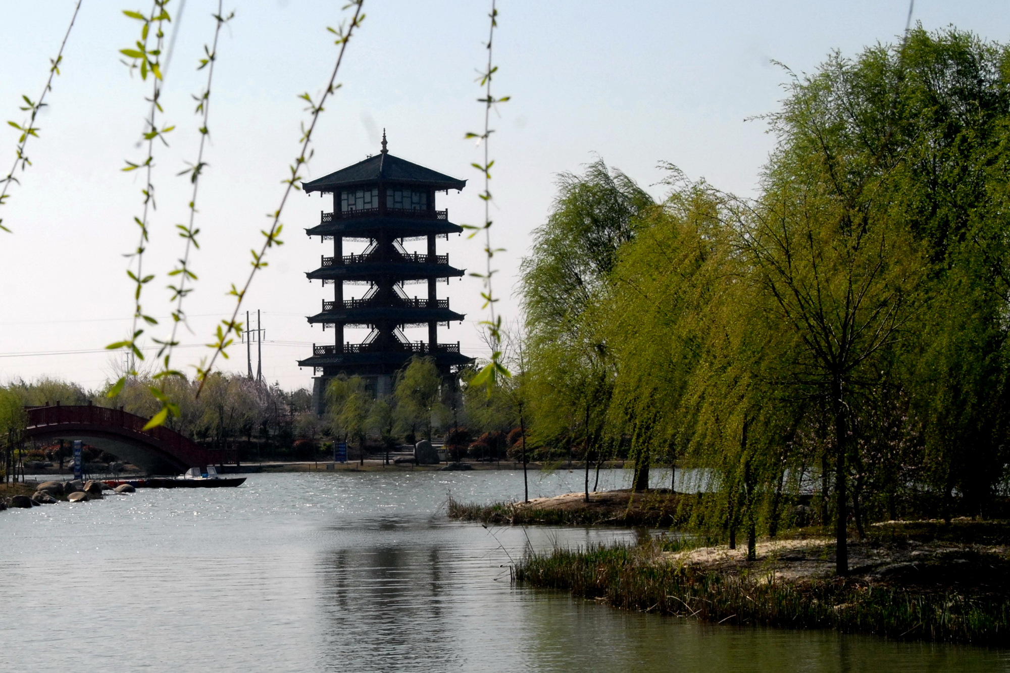 临颍:千亩湖湿地公园内红花绿柳,春意盎然__凤凰网