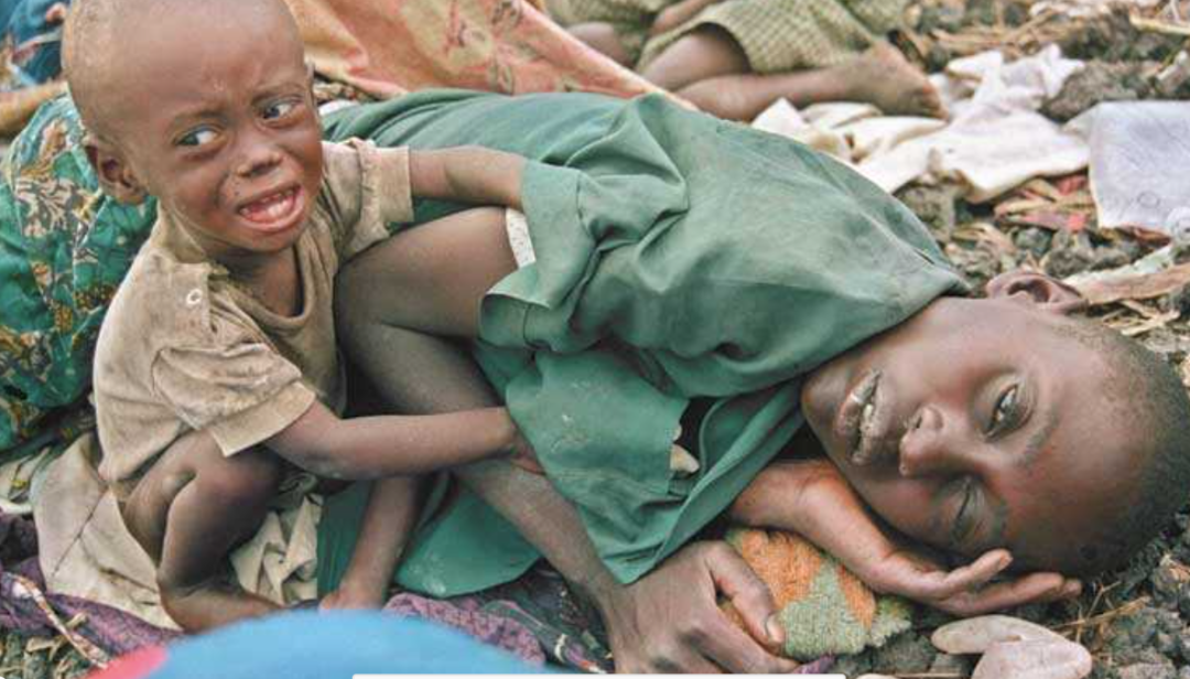 图源：参考文献 12