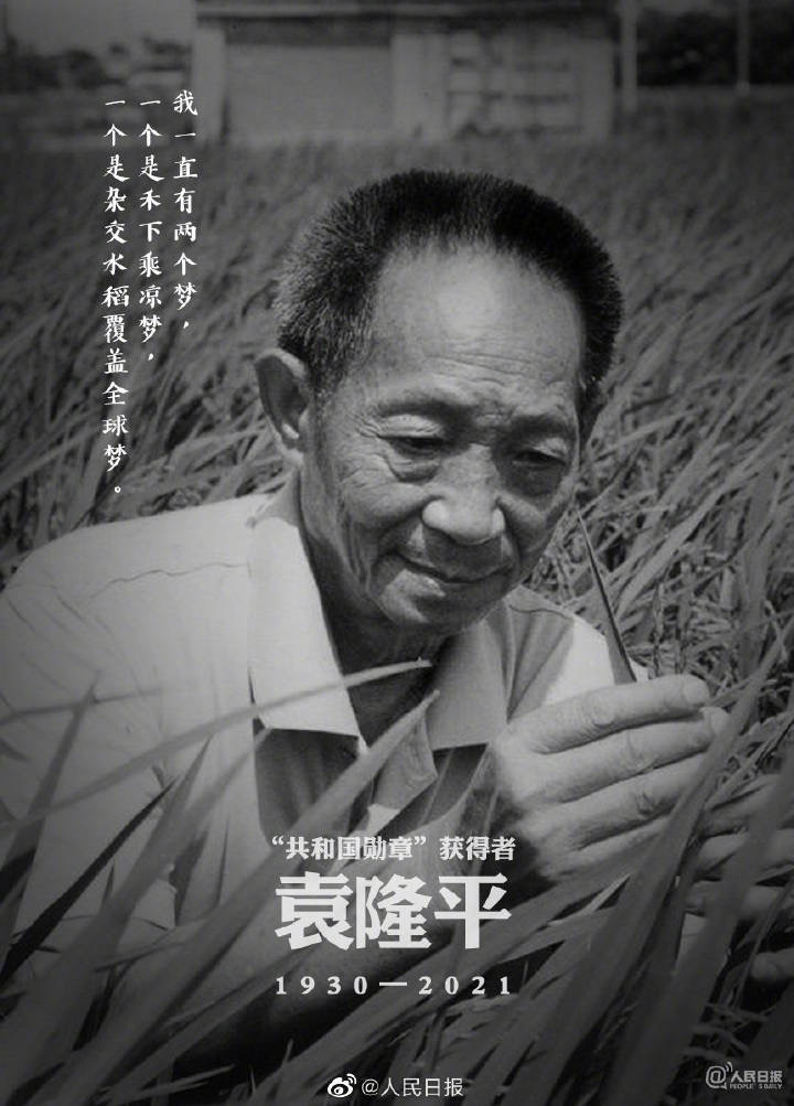 袁隆平院士逝世,知情人士透露上午还在医院抢救,没有做手术