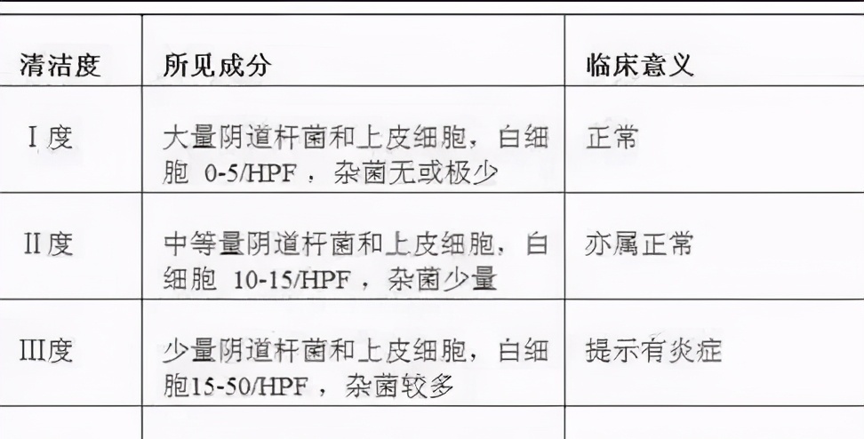 阴道清洁度