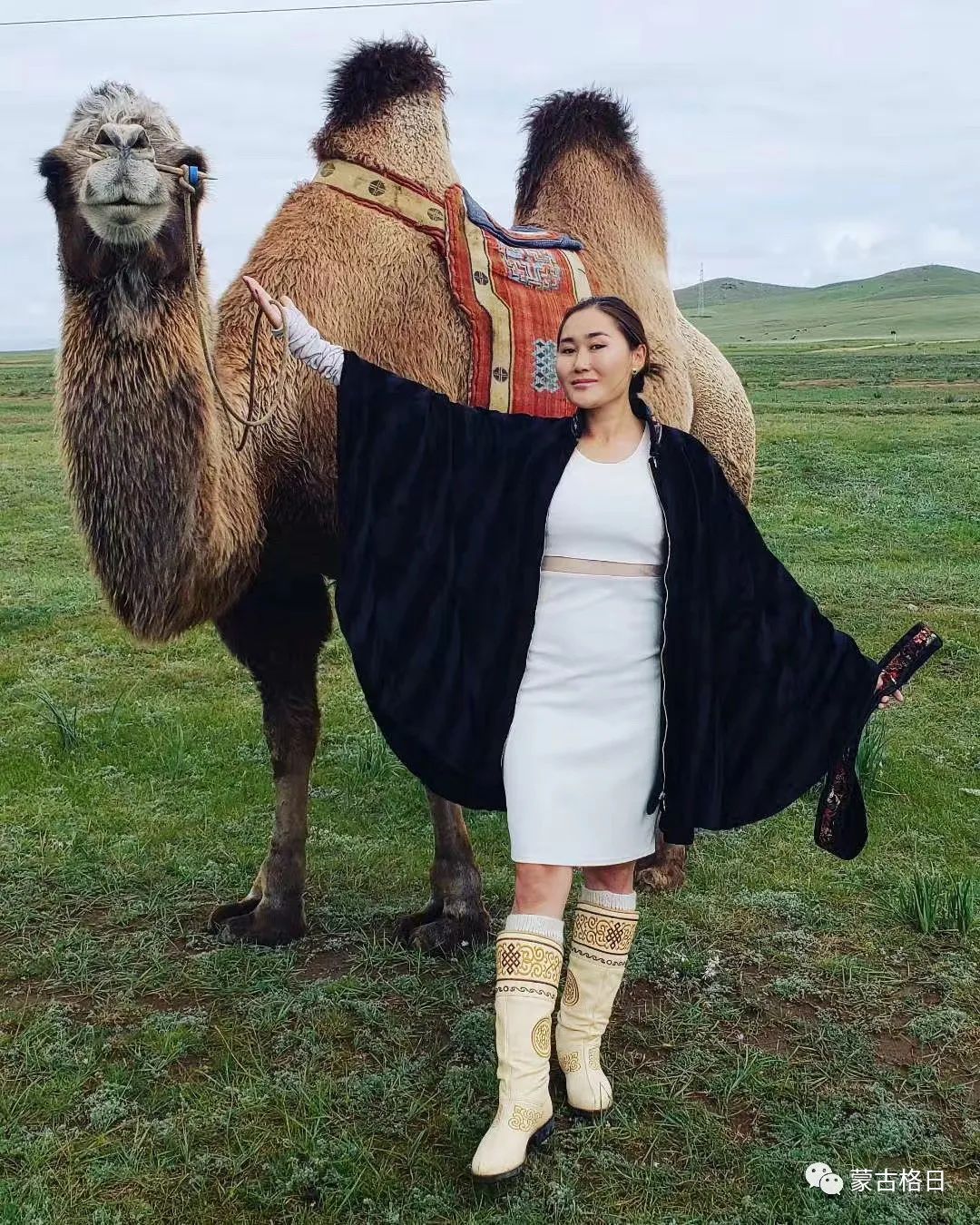 从蒙古国骑骆驼去伦敦的蒙古美女,因火灾不幸遇难