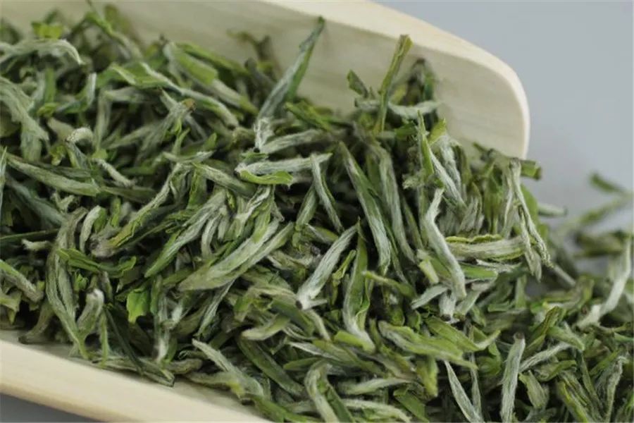 怎么有这么多叫"雪芽"的茶!它们都是绿茶吗?