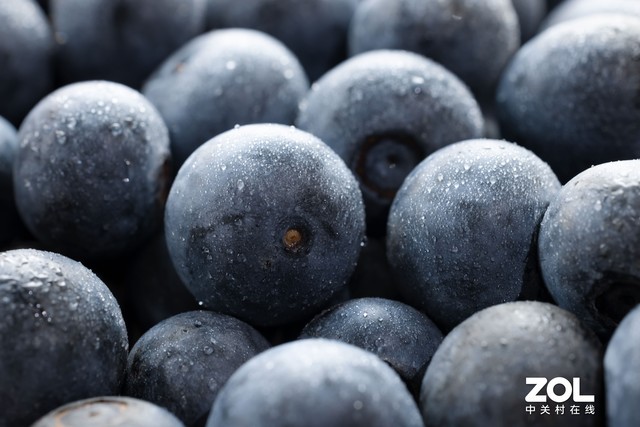 RF系列新利器 佳能RF 100mm微距评测