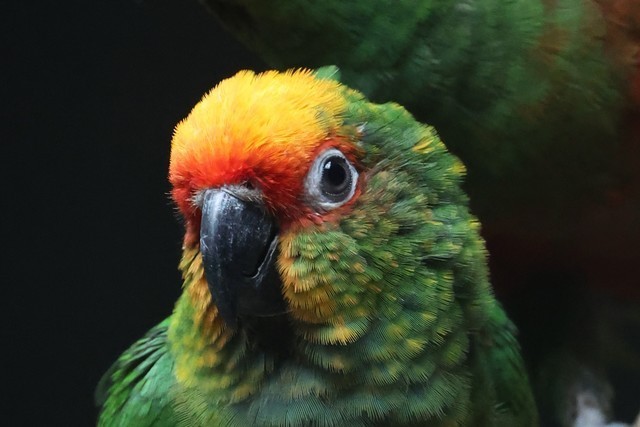 【有料评测】速度 精度 灵敏度 佳能EOS R3相机评测