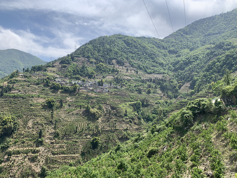 鲁兰的家在半山腰上。