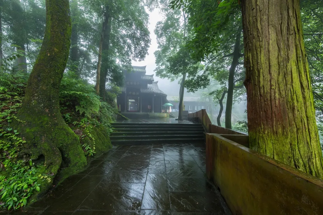 到峨眉必打卡的n件事,都在这里了