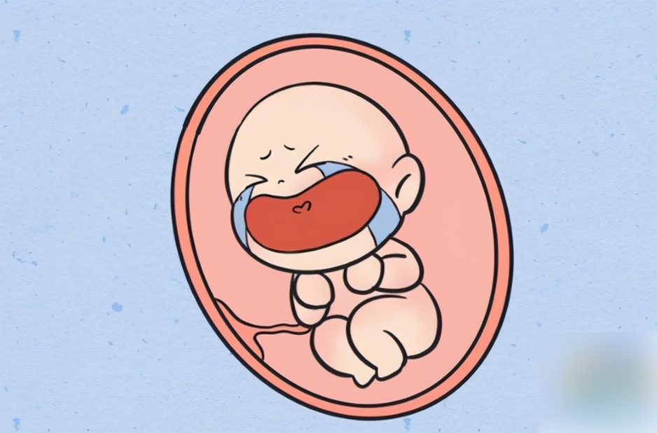 预防胚胎停育,这9件事一定要注意!