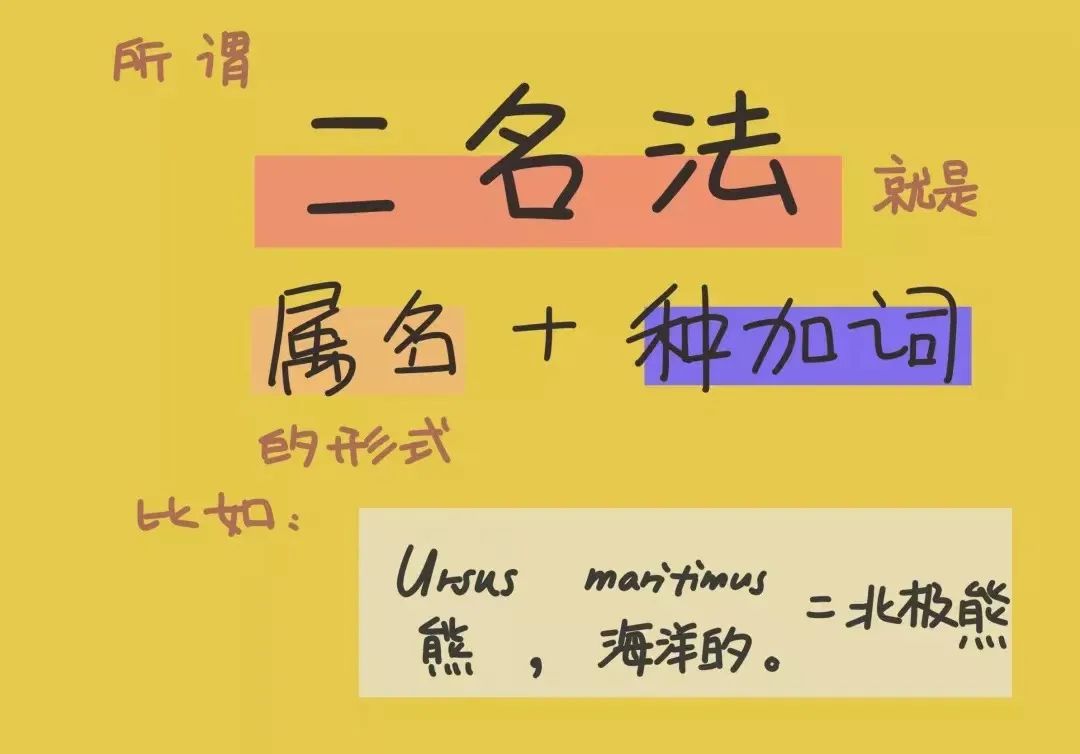 最早把人类分为红白黄黑四种的科学家,还认为亚裔都是“傲慢又贪婪”_凤凰网