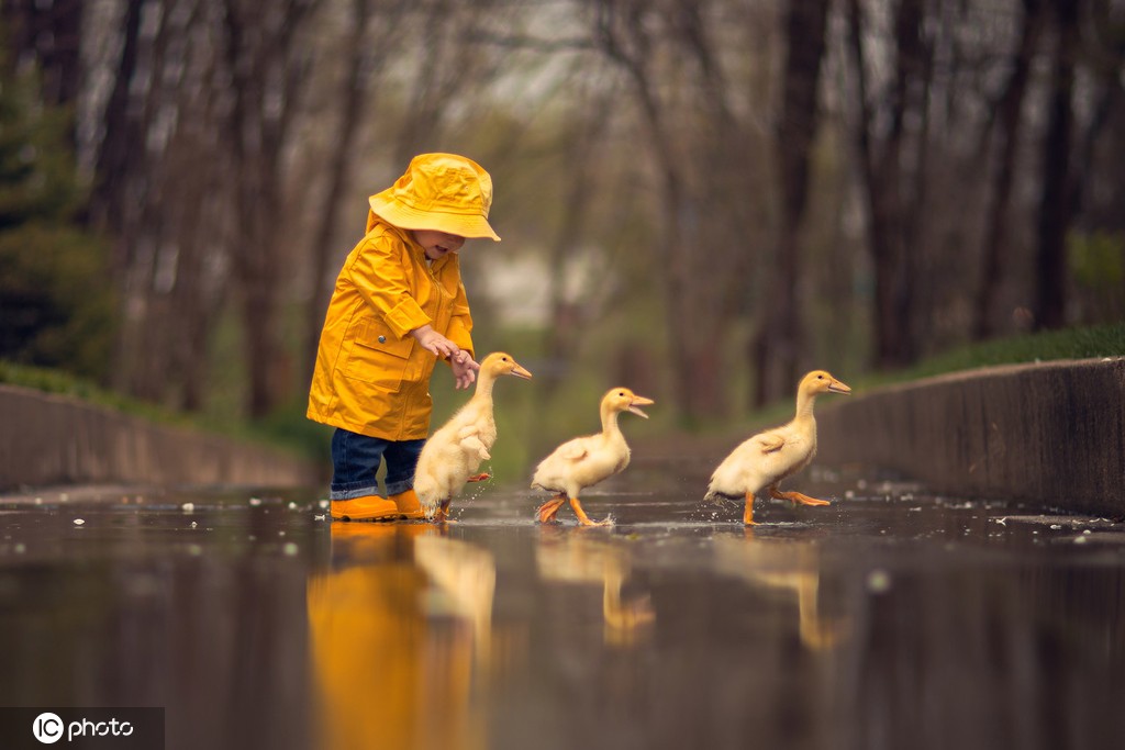 儿童节当萌娃遇上萌宠 温馨相处画面太有爱了