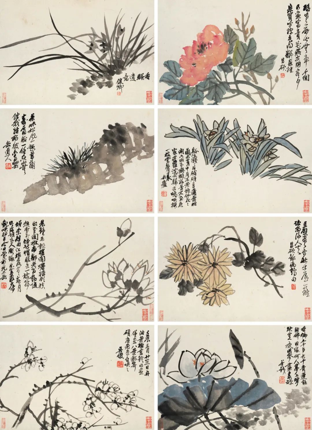 吴昌硕：花卉册_凤凰网