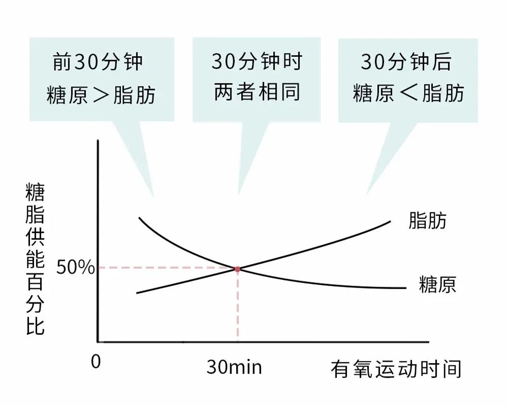 减肥谣言