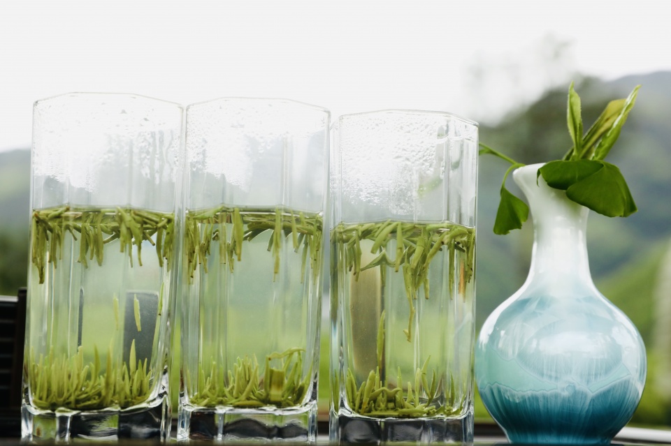 生态镇巴,名茶之乡,在镇巴最美茶园采茶,品茗,观云海