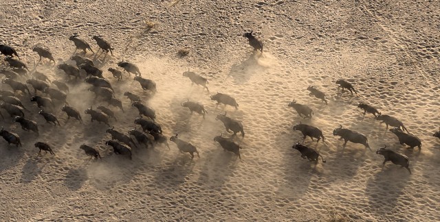 摄影师Austin Mann分享iPhone 13 Pro样片