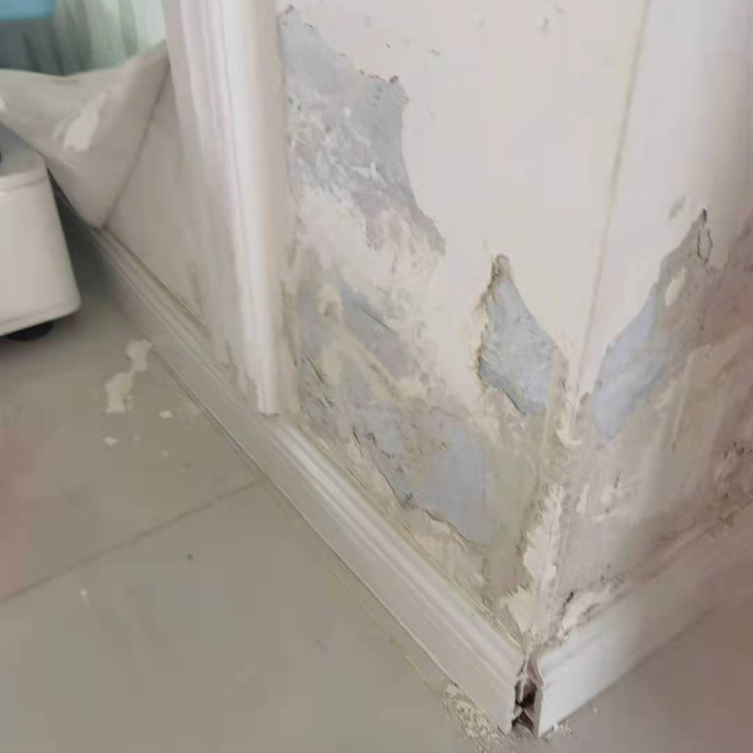 卫生间门口墙皮天天掉,是墙面"返潮"造成的?__凤凰网