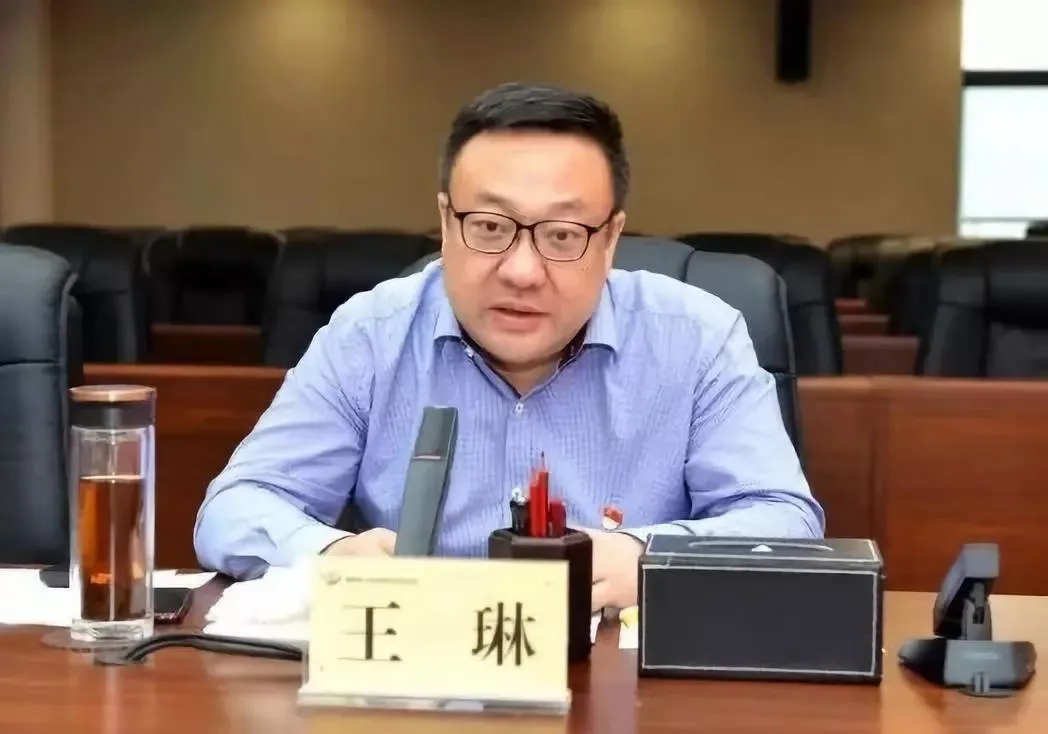 担任渭南市长10个月后，王琳任渭南市委书记(图1)